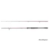 Delphin EXPLOZA HARD 210cm/60g/2 segmente lansetă de spinning