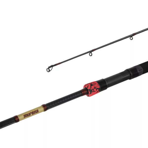 Lansetă spinning Delphin MURENA POWER 210cm/125g/2 bucăți