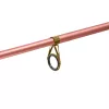 Delphin QUEEN Tele 300cm/100g lansetă de crap