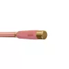 Delphin QUEEN Tele 300cm/100g lansetă de crap