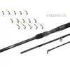 Delphin Magma Reaxe 30T 3,60m 100gr Lansetă Feeder din 3 segmente