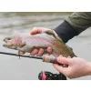 Delphin Troutera HardLure 2,10m 2-7gr Lansetă de spinning din 2 bucăți