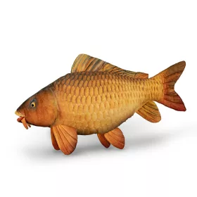 Delphin Carpy Pluș Crap 60cm