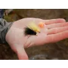 Delphin Fly Pond Trout Műlégy Készlet 10db