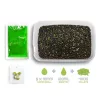 Delphin Reaxe Ready&Go Fokhagyma-Vajsav Pellet Box 400gr + 120ml Booster és 10mm Wafters