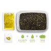 Delphin Reaxe Ready&Go Kukorica-Ananász Pellet Box 400gr + 120ml Booster és 10mm Wafters