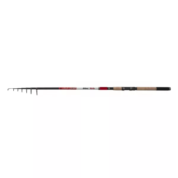 CarpExpert Uni Tele Telescopică 240cm 20-40gr - Plută EVA Lansetă de Pescuit
