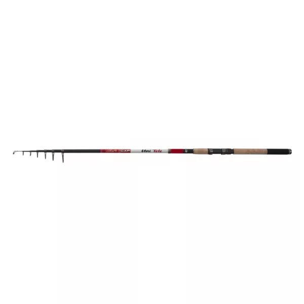 CarpExpert Uni Tele Telescopic 300cm 30-80gr - Lansetă de pescuit din plută EVA