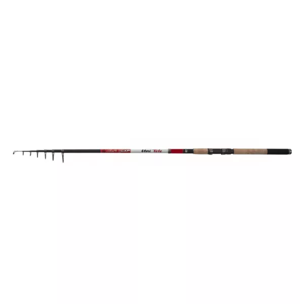 CarpExpert Uni Tele Telescopic 330cm 80-120gr - Lansetă de pescuit din plută EVA