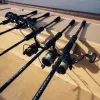 Reiva Stingray 210BC 2,10m 8-30gr Lansetă de Spinning 2 Bucăți