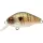 Rapture Pro BB Crank 05 F LBB 4,5cm 7gr Wobbler