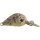 Rapture Pro Hot Buzz Area S COL 2,5cm 3gr Wobbler