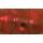 Rapture ULC Water Shrimp 6,2cm 1gr Brownie Momeală moale din cauciuc 8buc