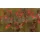 Rapture ULC Crayfish 5,3cm 1,7gr Watermelon RF Momeală din cauciuc moale 8 buc