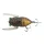 Tiemco Cicada Origin Magnum F 4,5cm 6gr 062 Bogár Utánzat