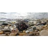 Nevis River Coș Feeder 100g