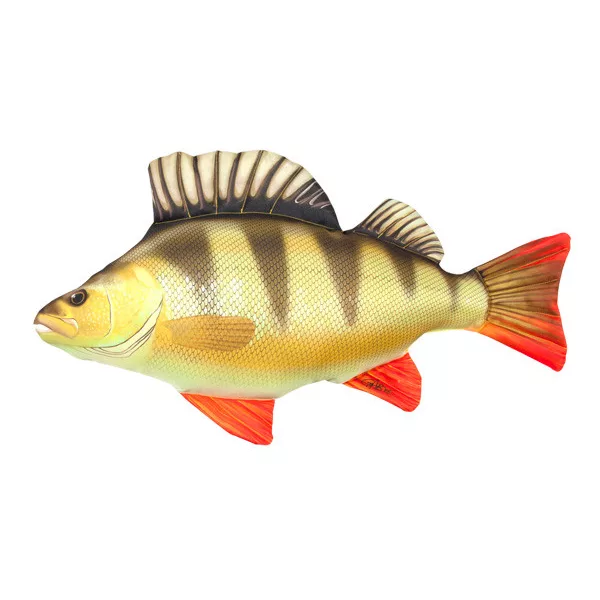 Pernă de pește Biban