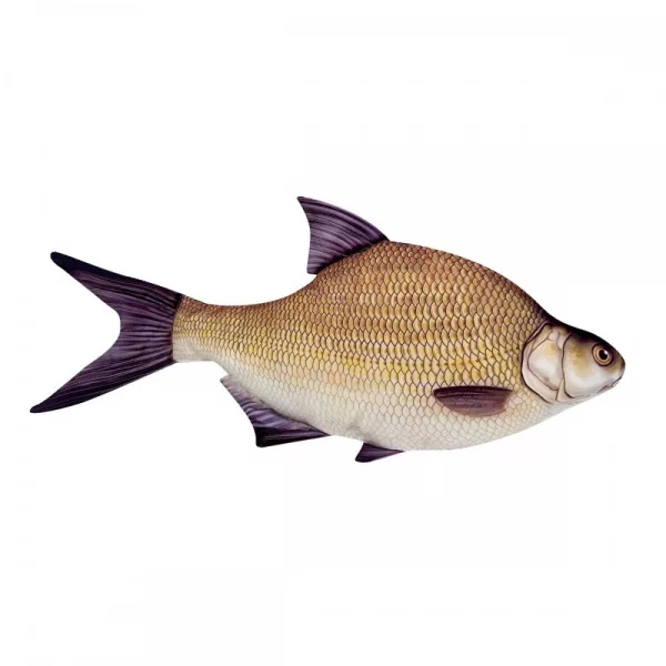 Pernă cu pește Plătică 34Cm