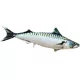 **EnergoTeam** The Atlantic Mackerel 60cm Pernă cu pește