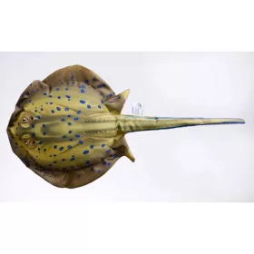 EnergoTeam The Bluespotted Stingray 85cm Pernă de pește
