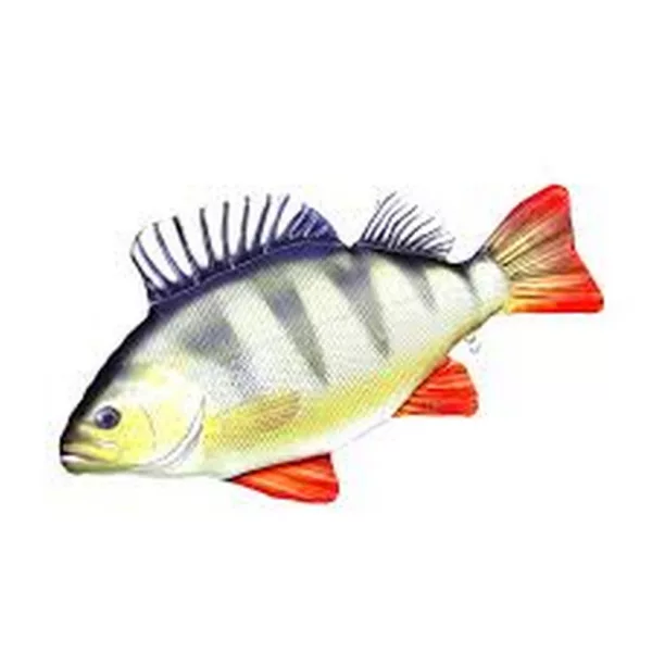 EnergoTeam The Monster Perch 160cm Pernă în formă de pește