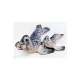 EnergoTeam The Grey Seal 36cm Pernă de pește