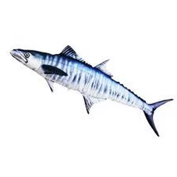 EnergoTeam The Mackerel Spanish 102cm Pernă Pește