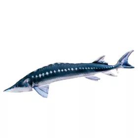 EnergoTeam The European Sturgeon 36cm Pernă cu pești