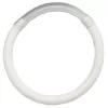 Inel indicator de mușcătură Tubular Luminos 8 cm Mare