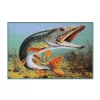 Delphin Covoraș 3D știucă 60x40cm