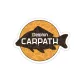 Autocolant Delphin CARPATH 95x75mm