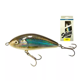 Salmo Fatso F10F HLS 10cm 48gr Wobbler