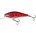 Salmo voblere