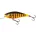 Salmo voblere