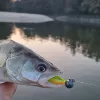 Reiva 0,30mm 40cm Forfac Fluorocarbon 2 buc