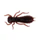 Wizard LARVA COL. 005 6PCS/BAG Nălucă artificială din cauciuc
