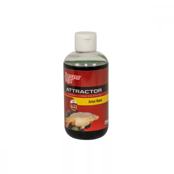 Benzar Mix Concentrat de aromă Amur Treste 250Ml