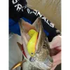 Nevis Twister Shad Vantage Perch 9cm 6,56gr Nălucă de plastic Verde-Alb 3 buc