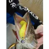 Nevis Twister Shad Vantage 9cm 6,56gr 3 buc/set /roșu-sclipici/ Momeală plastică