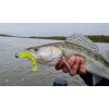 Nevis Impulse Shad 7,5cm 3,05gr 5buc/pachet Argintiu Sclipici Nălucă de plastic