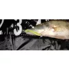 Reiva Zander Power Shad 10cm 7,05gr 4 buc/set (Maro Sclipici) Naluci din plastic