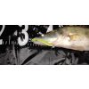 Reiva Zander Power Shad 8cm 3,18gr 5buc/pachet (Flitter Roz) Nălucă de plastic