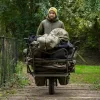Avid Arctic-Series Sherpa Fleece Jachetă S