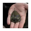 Avid Carp Method Feeder Coș L 2,5Oz