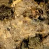 Nash Mussel Blend 500ml Lichid