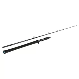   Sportex Black Arrow G4 Musky Baitcast 2,60m 300gr 2 Bucăți Lansetă de Casting Spinning
