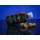 BaitBait Rodin Liquid Amino Locsoló 250ml