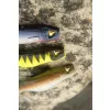 Black Cat Mega Curl Tail Shock Perch 22cm 29gr Momeală Plastică