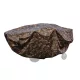 Fox Large Camolite Barrow Cover Talicska Védőhuzat