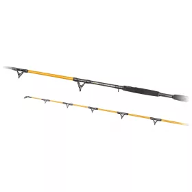   Predator Z Catzoom Brutal 3,00m 850gr Lansetă de somn 2 Segmente